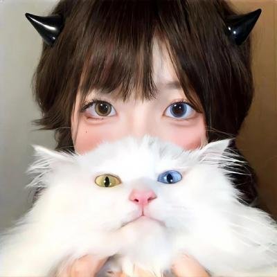 电光骑士