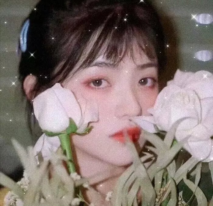 青春向前行